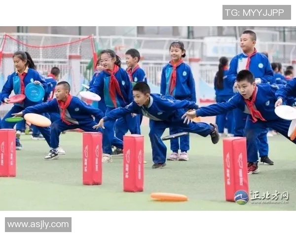 杨敏独家分享飞盘技巧与心得体会助你轻松掌握这项运动的魅力与乐趣