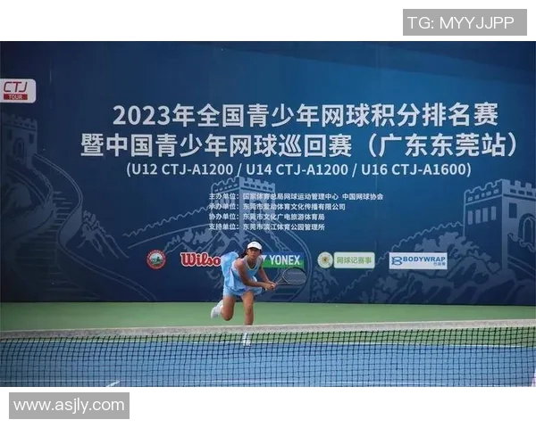 北京网球队在全国网球节奏排行榜中荣获第十名的精彩表现分析