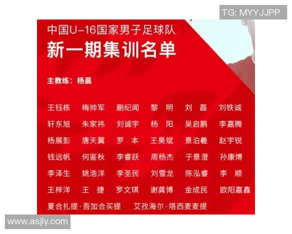 对话刘磊：回顾足球生涯的辉煌与挑战，展望未来的无限可能